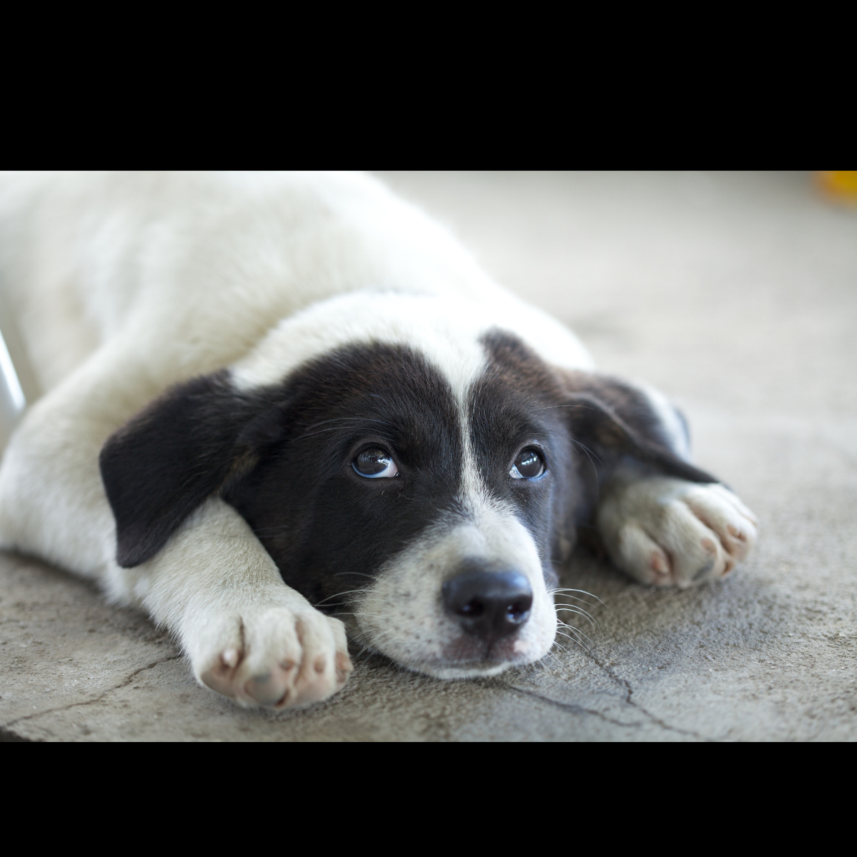 Blog: Mag ik? Over Ordening en Uitwisseling