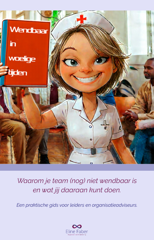 E-book Wendbaarheid